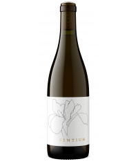 White wine Continuum Sentium Sauvignon Blanc 2023