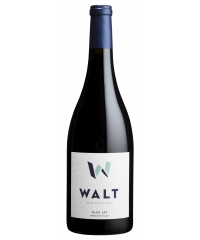 Red wine Walt Wines Blue Jay Pinot Noir 2020