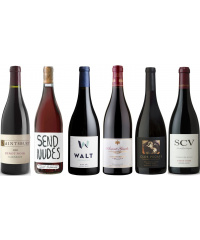 Tasting Pack In Pinot We Trust
