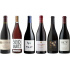 Tasting Pack In Pinot We Trust