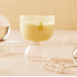 Rewined Candle Sparkling Champagne Coupe 198 g