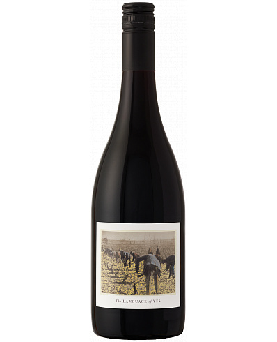 The Language of Yes Grenache 2023 750 ml