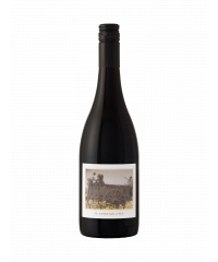 The Language of Yes Syrah 2022 750 ml