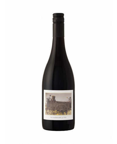 The Language of Yes Syrah 2022 750 ml