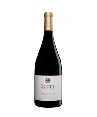 Red wine Scott Family Estate Pinot Noir 2021 from area Monterey