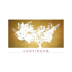 Continuum Estate weingut